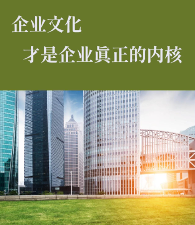 从选型到部署:浙江视境机器视觉整套方案实施要点
